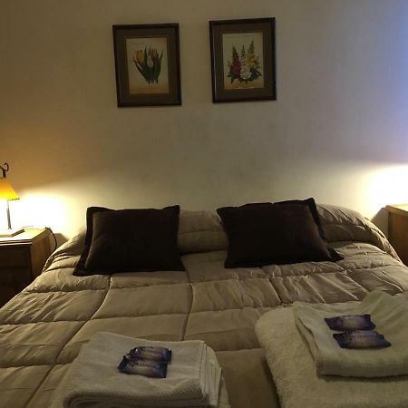 Mendoza Pleno Centro Apartment Bagian luar foto